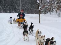 dog_sledding_2.jpg